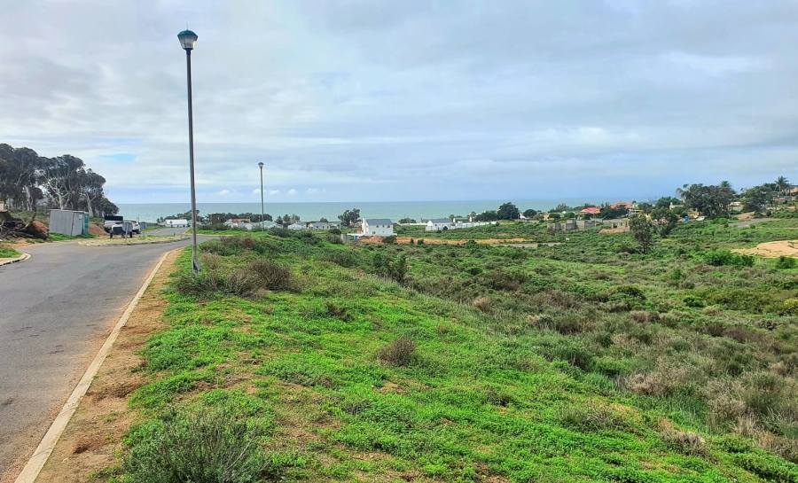 0 Bedroom Property for Sale in Steenbergs Cove Western Cape